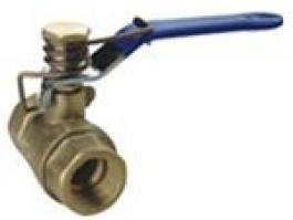 內螺紋彈簧球閥（TQ11F-16T）