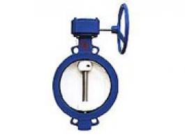 蝸輪單偏心蝶閥（WBGX、D372X）