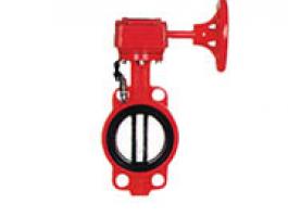 消防專用蝶閥（BWSX、D371X）
