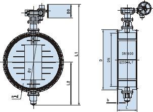 1556611482625011.jpg 31.jpg