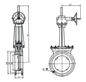 1556621027839383.jpg 321.jpg