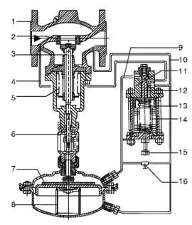1556868559584466.jpg 301.jpg